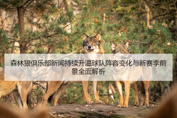 森林狼俱乐部新闻持续升温球队阵容变化与新赛季前景全面解析