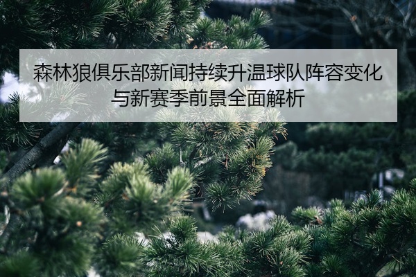 森林狼俱乐部新闻持续升温球队阵容变化与新赛季前景全面解析